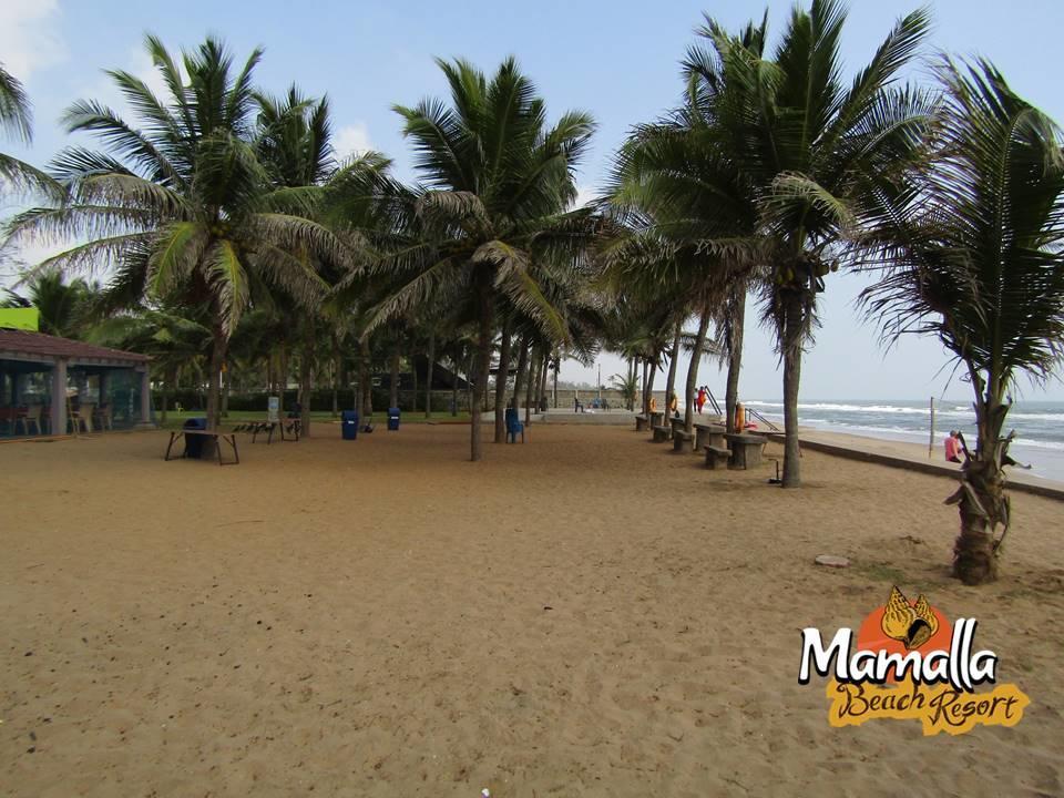 Mamalla Beach Resort Mahabalipuram Exteriör bild
